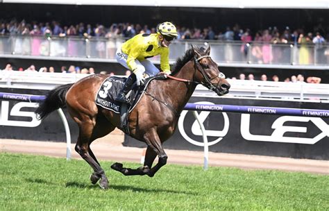 melbourne cup trifecta results|2023 Melbourne Cup Results: Without A Fight Beats Soulcombe, .